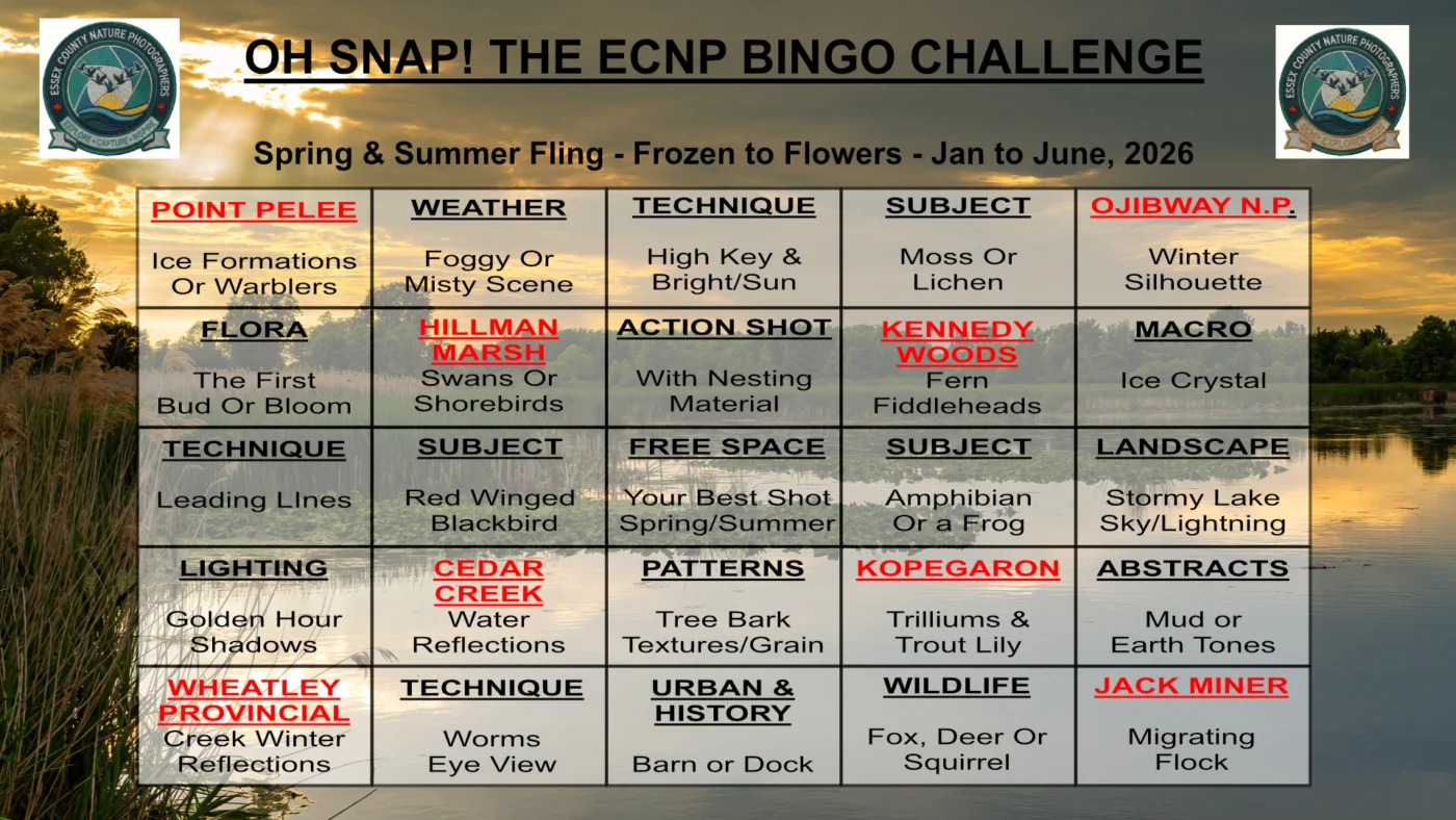 The 2026 "OH SNAP!" Challenge Starts NOW!