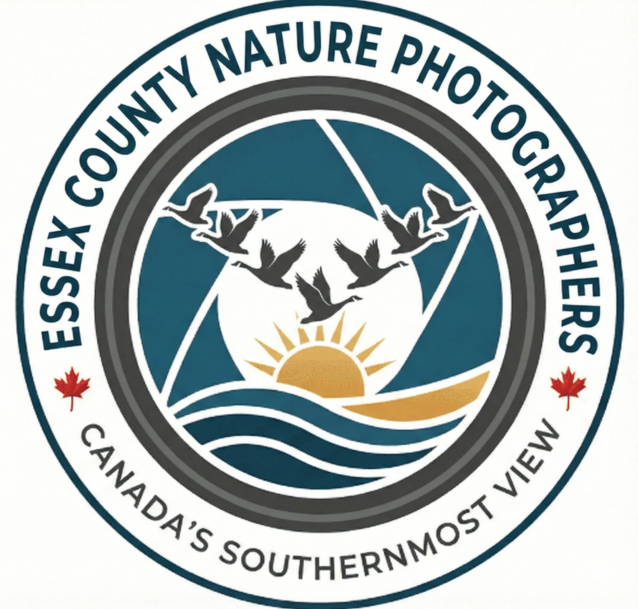 Site logo